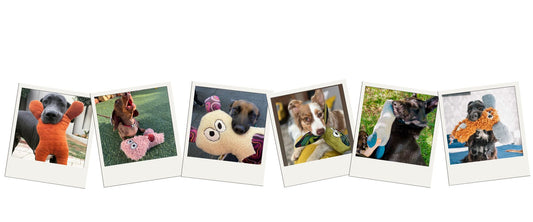 dogs with durable dog toys called fugly friends from 3dogs
