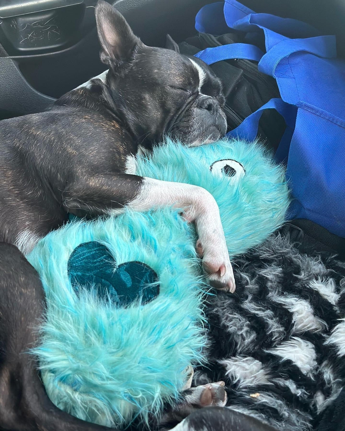 Quirky, Lovable, & Soulful dog toys