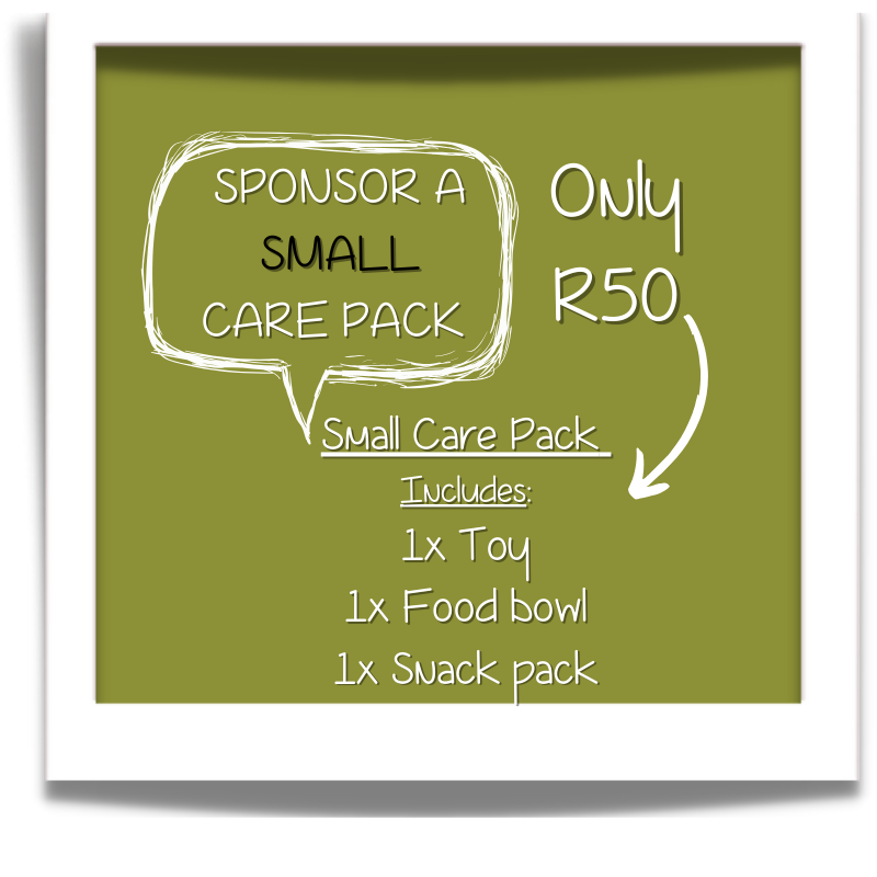 Sponsor a Care Package