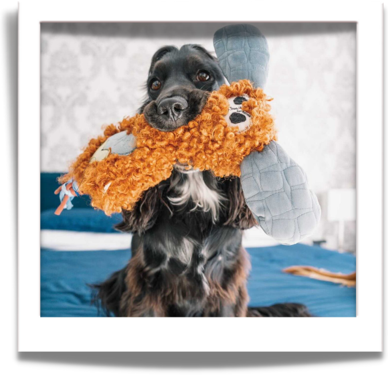 Dog toys called fuGLy friENDs durable and adorable