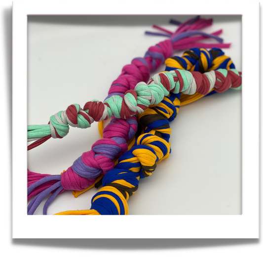 Dog Knotted Rope Tug