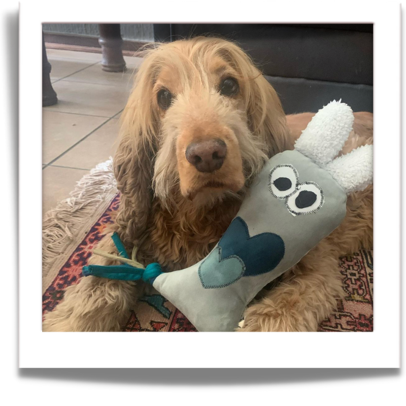 Dog toys called fuGLy friENDs durable and adorable