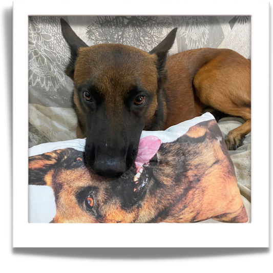 Memories captured in personalised pet character cushions