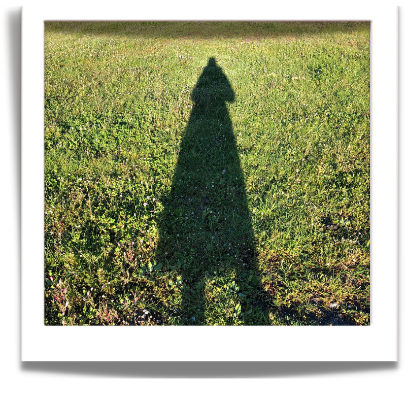 A Quiet Stand in a Loud World