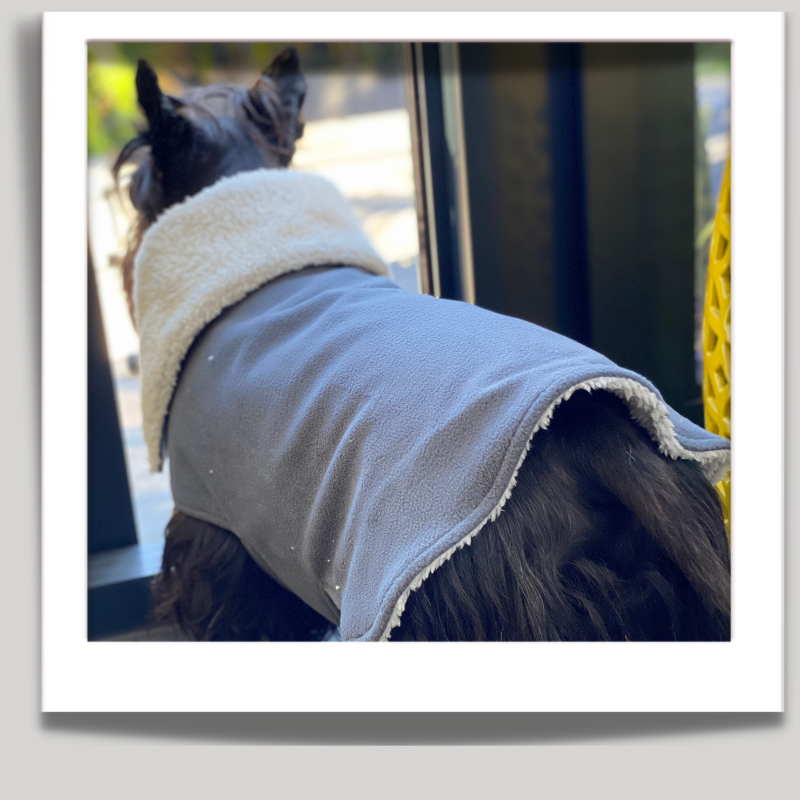Dog Coats