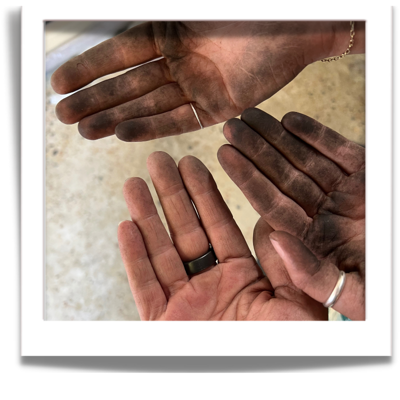 Quiet, thoughtful making space representing support for ethical products and animal welfare