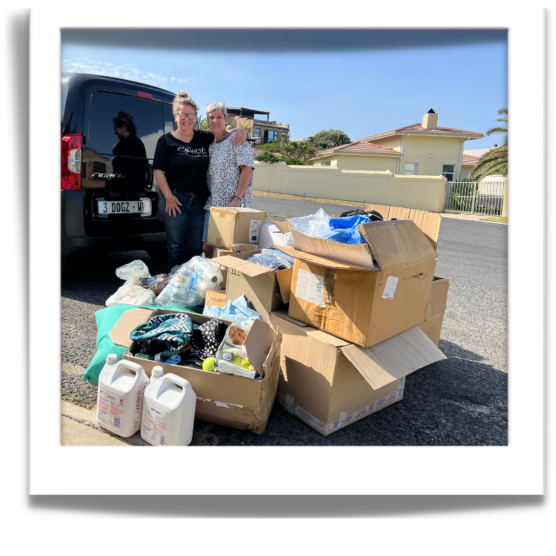 Comfort and connection from mindful, purpose-made products by 3Dogs