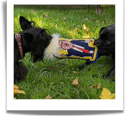 The Infa-Mutt Collection