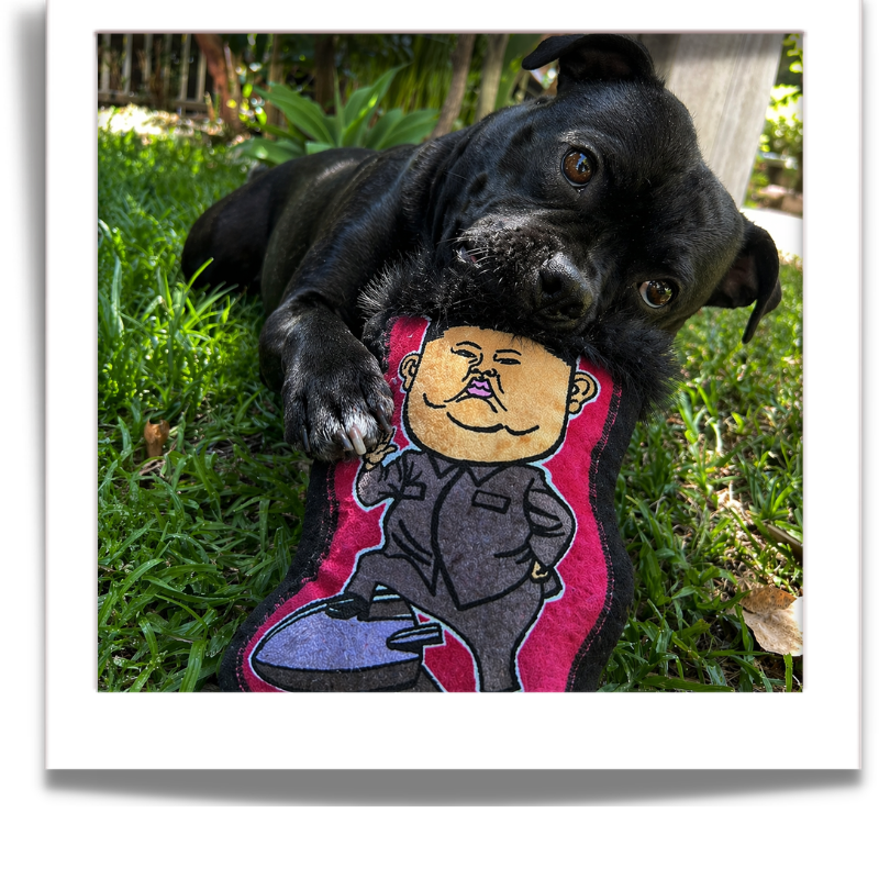 The Infa-Mutt Collection