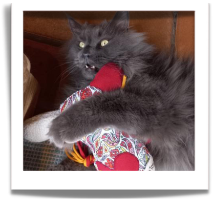 fuGLy friENds fun CAT toys