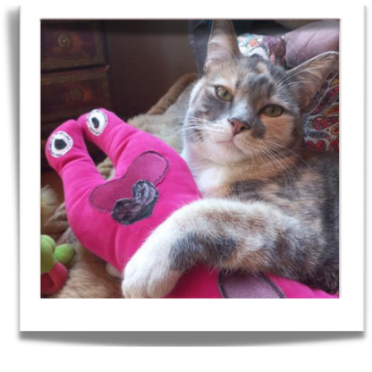fuGLy friENds fun CAT toys