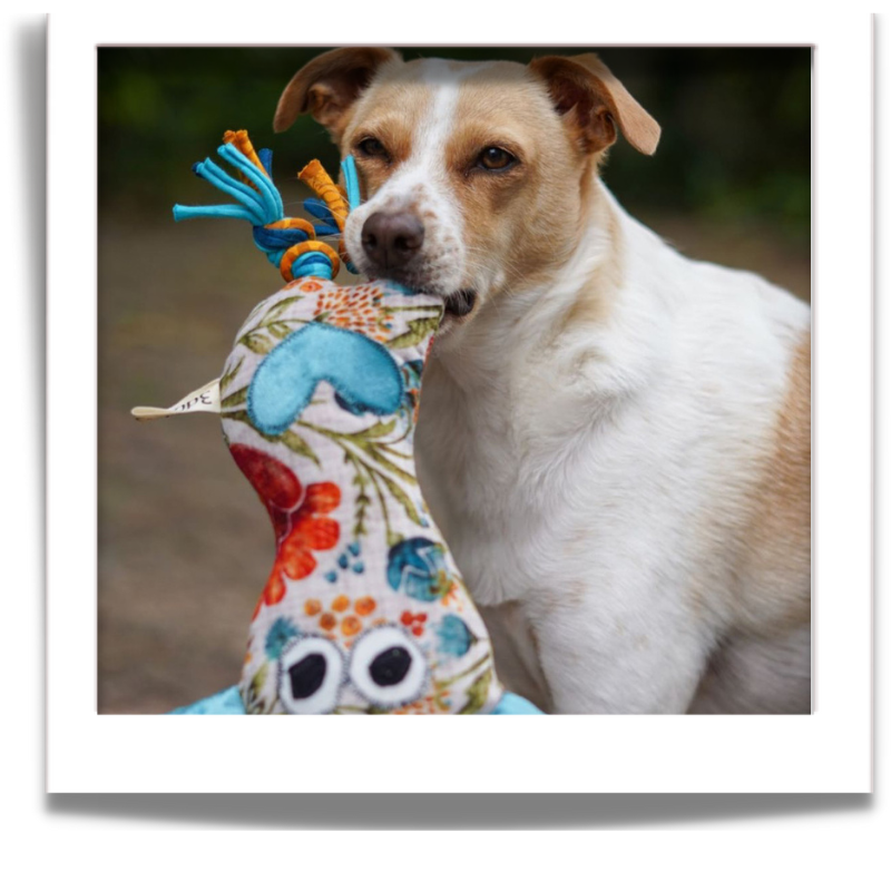 character dog toy with unique design