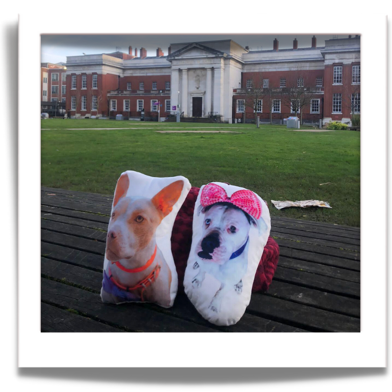 Two cushions outdoors: “Two personalised dog-shaped cushions on a wooden bench, one featuring a dog wearing a pink bow.”