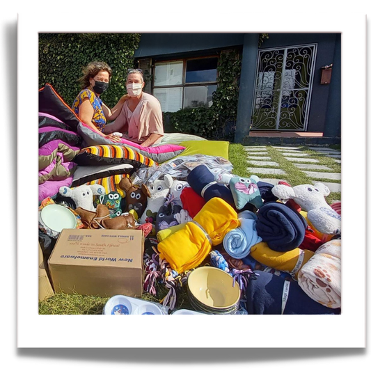 Donations to aNIMAL wELFARE