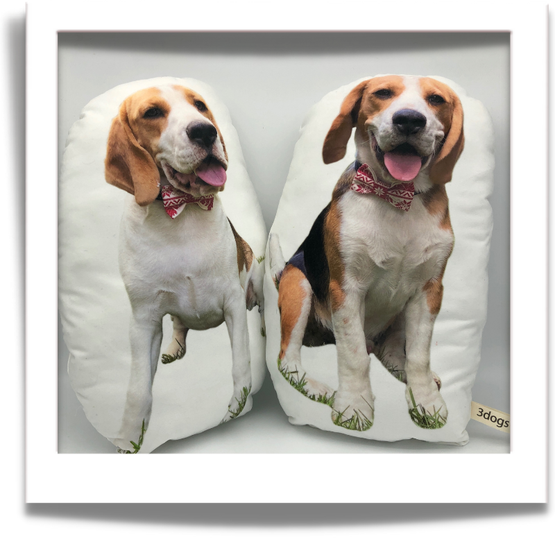 Two beagle cushions: “Two custom cut-out pet cushions featuring a beagle wearing a patterned bow tie.” pet character cushions from 3dogscpt