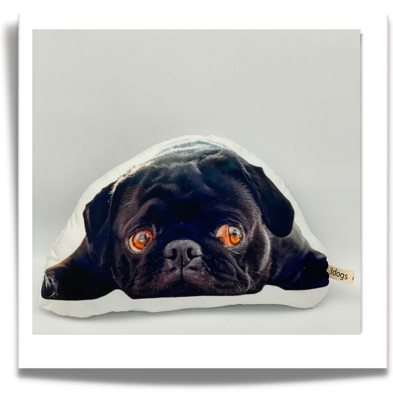 Black pug cut out cushion: “Custom pet photo cushion shaped around a black pug lying down with its paws outstretched.”