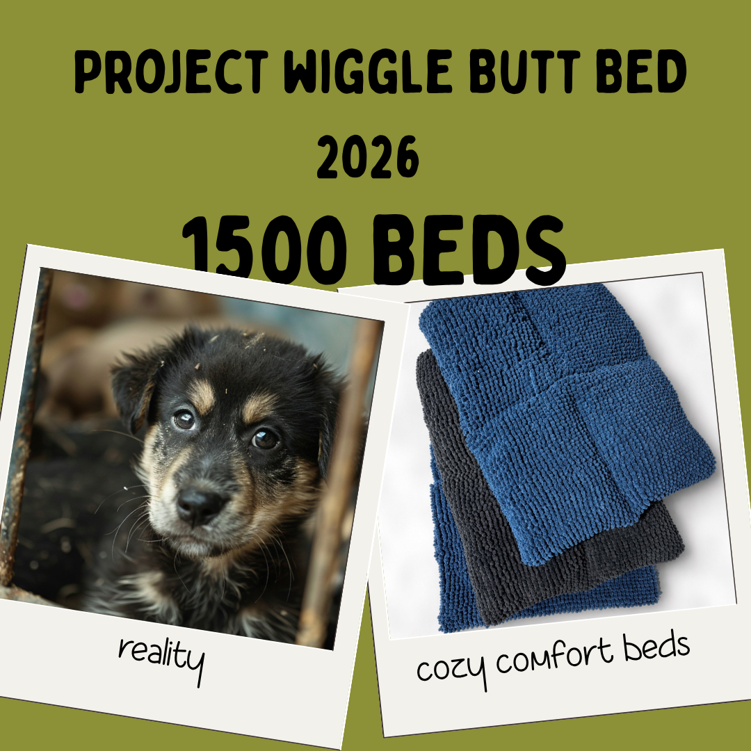 Wiggle Butt Beds