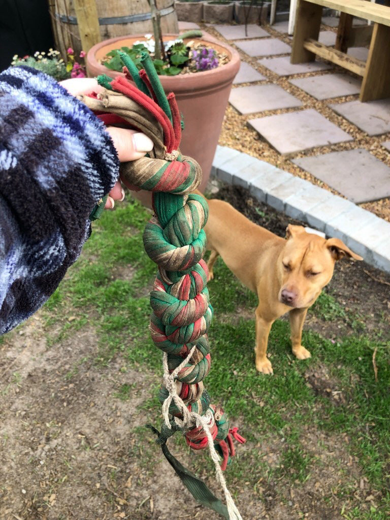 Dog Knotted Rope Tug