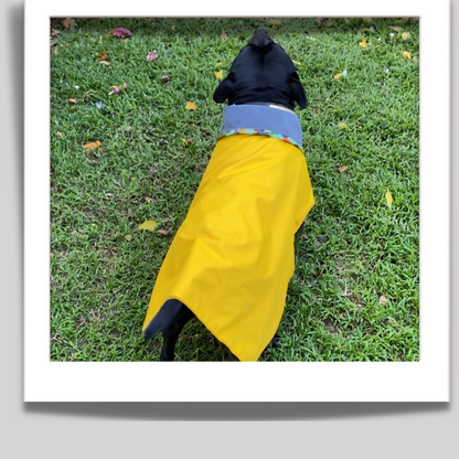 Rain Coats for Dogs