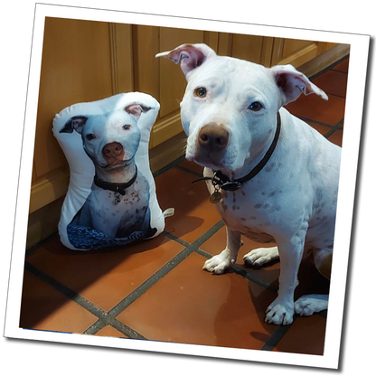 White dog on tiled floor: “White dog beside a matching custom pet photo cushion on a terracotta tiled floor.”